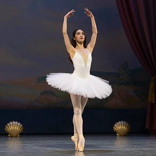 Graceful Ballet Dancer on Stage