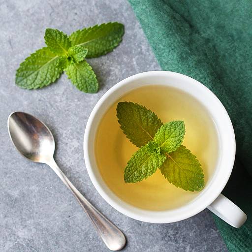 Top-Down White Teacup with Mint