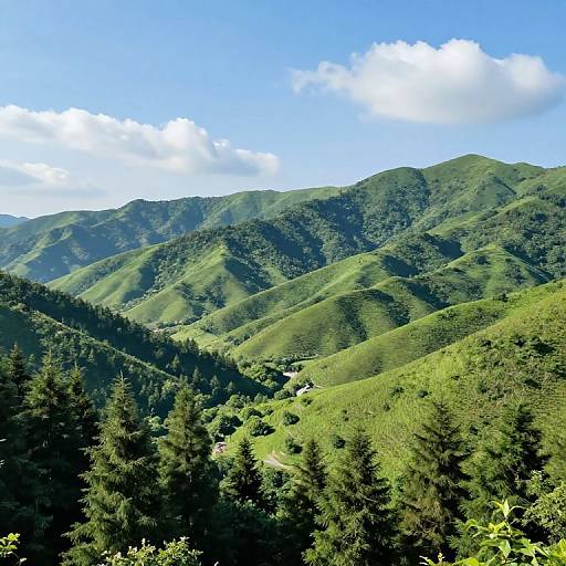 Photograph of lush, green mountain range with rolling hills, dense evergreen forest in foreground, and clear blue sky with scattered white clouds.