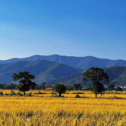 Vibrant Surreal Landscape Photography