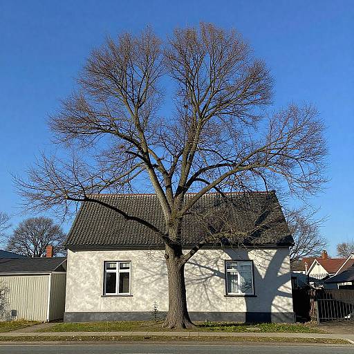 Photorealistic Rural House with Skeleton Wall
