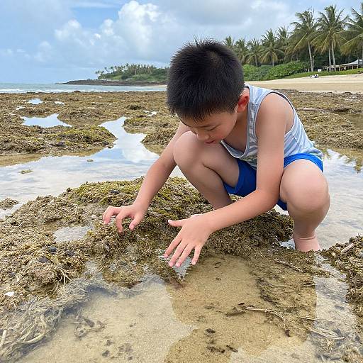 Young Asian boy in white tank top and blue shorts crouches on rocky beach, exploring seaweed and shallow water with a focused expression. Palm trees