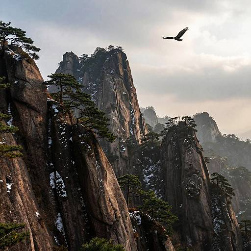 Misty Mountain Dawn with Soaring Eagle