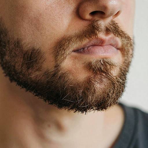 Macro Shot of Fake Goatee Hairs
