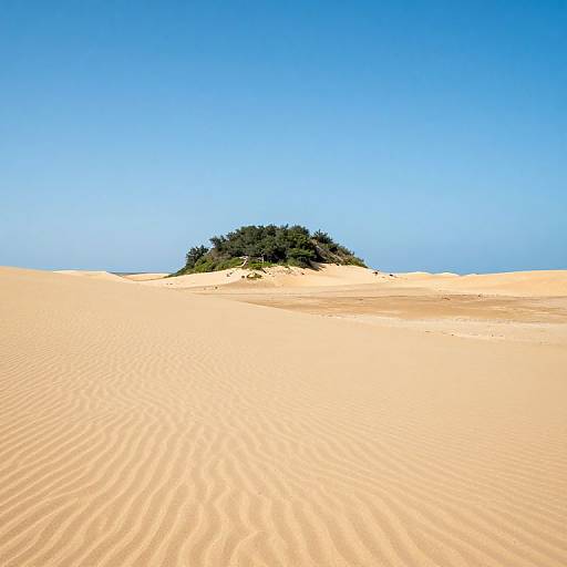 Lonely Desert Island in Sea