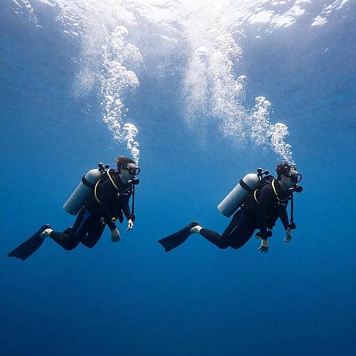 Sunlit Scuba Divers in Blue Depths