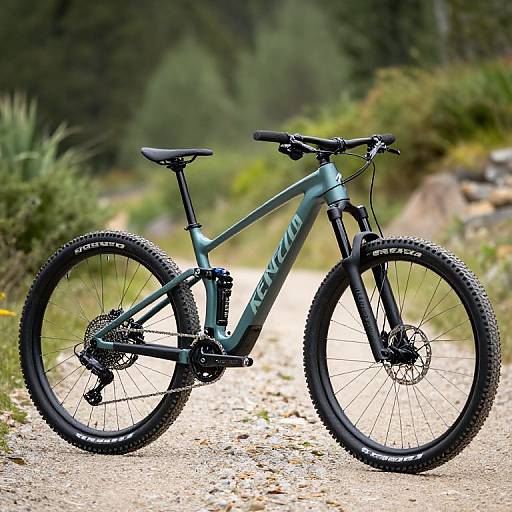 Photograph of a dark green, full-suspension mountain bike with black tires, labeled 