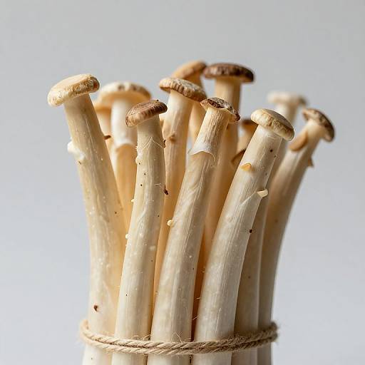 Photograph of a bundle of fresh, light beige shiitake mushrooms with brown caps, tied together with a rough brown string against a plain white