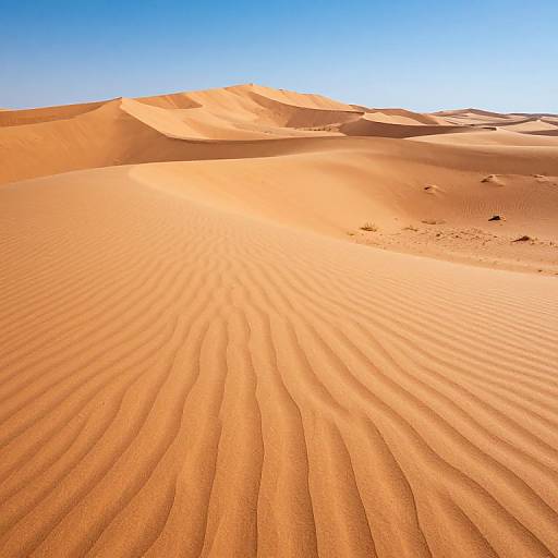 Chromatic Desert of Shifting Lies