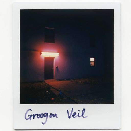 Liminal Neon Veil Polaroid Scene