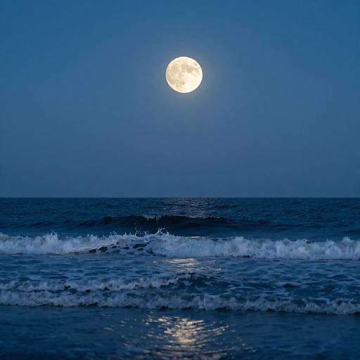 Moonlit Ocean of Eternal Secrets