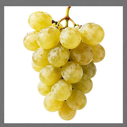 Cluster of Shiny Yellow Grapes