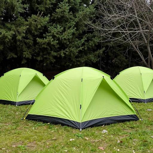 Lime-Green Tents in Serene Forest