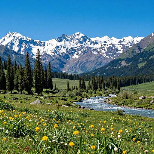 Panoramic Snowy Mountain Landscape
