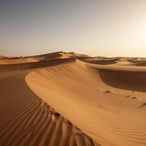 Photograph of a sunlit desert landscape with rippled sand dunes, casting long shadows, under a clear, bright, golden sky.