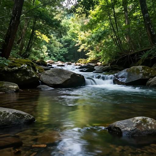 Serene Forest River Landscape