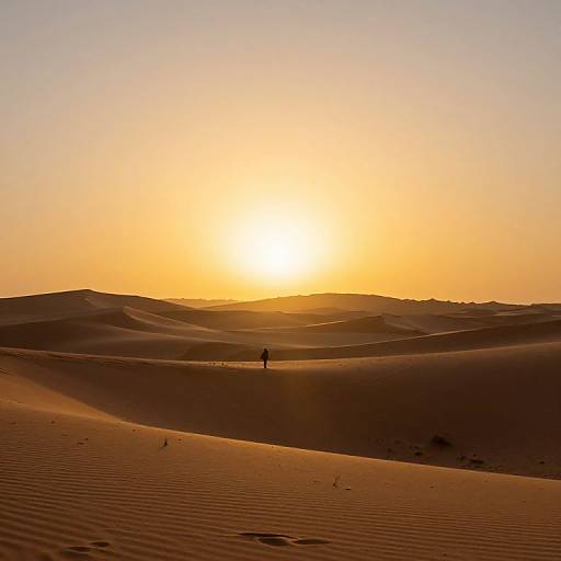 Photograph of a solitary figure walking through a vast, golden desert at sunset, with rolling sand dunes and a bright, orange sky.