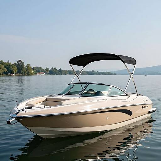 SunChaser Geneva Fish 20 on Lake