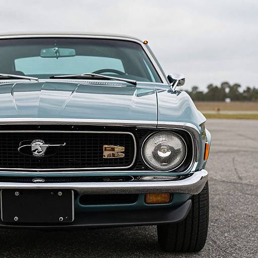 1973 Ford Mustang Classic Car