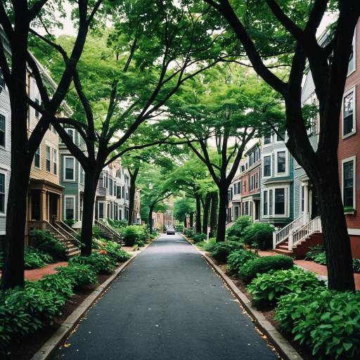 Charming Boston Neighborhood Vibes Charming Boston Neighborhood Vibes
