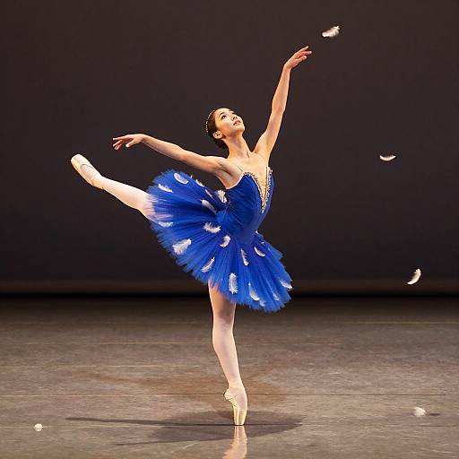Graceful Ballerina Nerissa On Stage