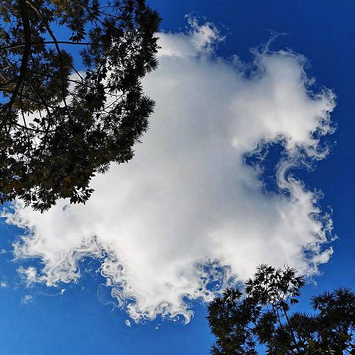 Surreal Reflective Water Dreamscape