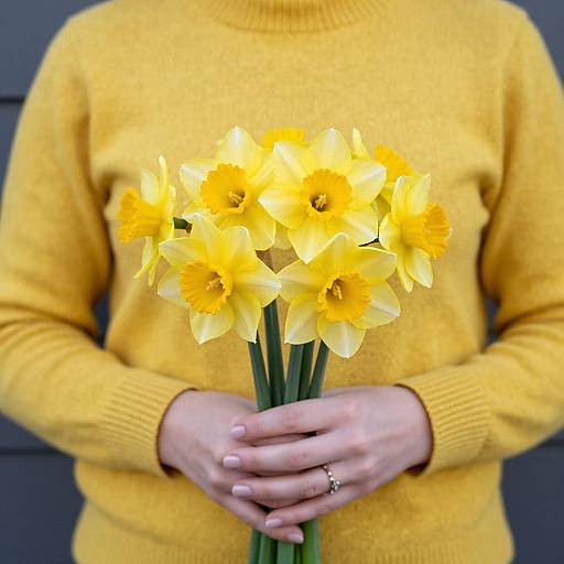 Woman with Yellow Sweater and Daffodils