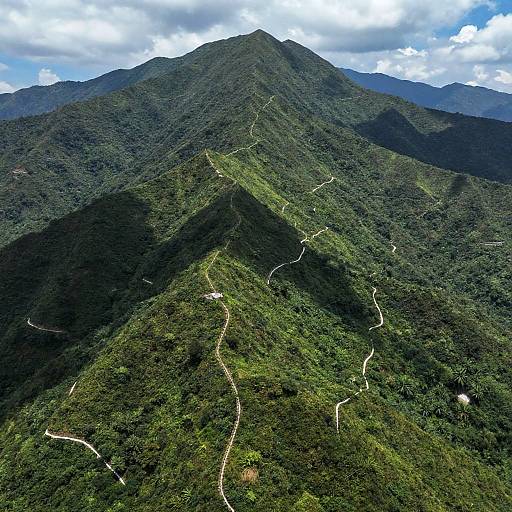 Aerial View of Lush Green Mountains