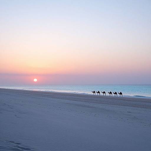 Photograph of a serene beach at sunset, with five camels standing on the shoreline, silhouetted against a gradient sky of pink, orange
