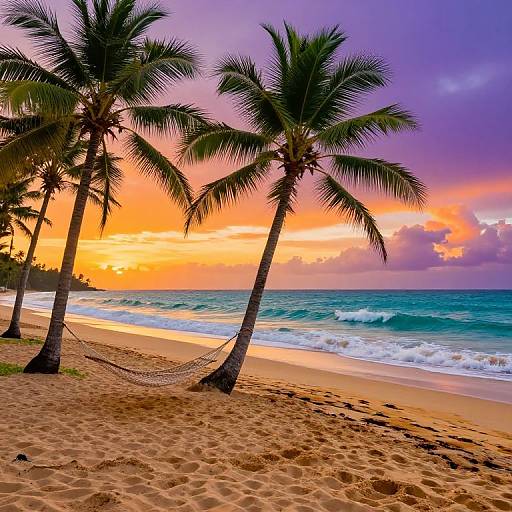 Photograph of a tropical beach at sunset, featuring three tall palm trees, a hammock between them, vibrant orange and purple sky, and waves gently
