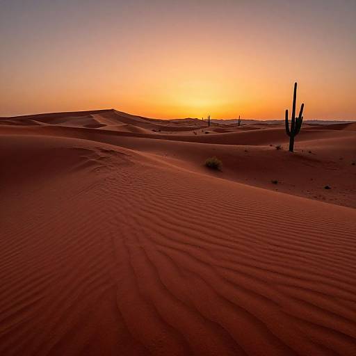 Rojizo Desert Dunes at Sunset