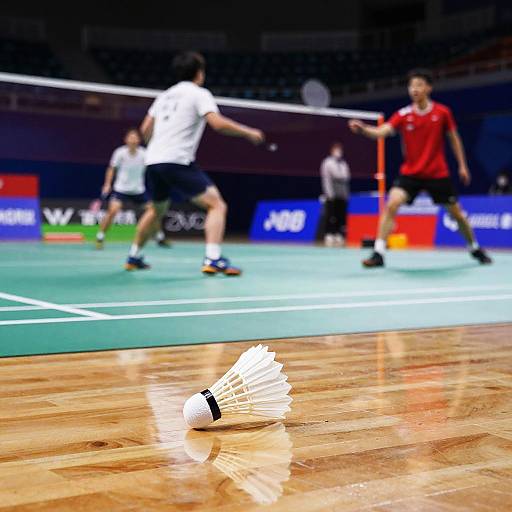 Dynamic Badminton Action on Modern Court
