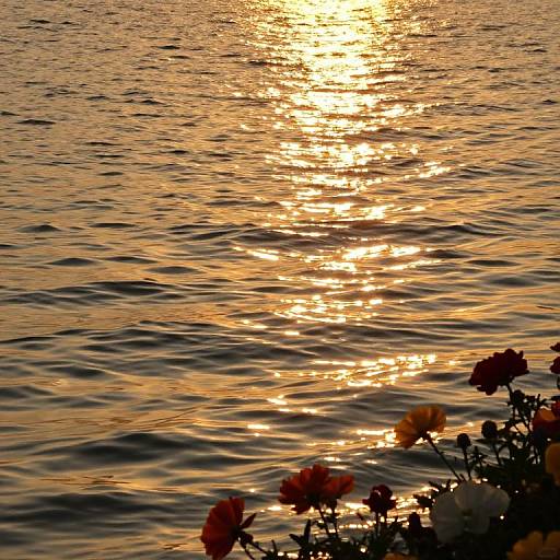 Photograph of a golden sunset reflecting on rippling water, with orange and red flowers in the foreground silhouetted against the light.