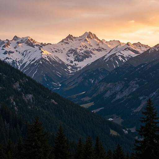 Photograph of a snow-capped mountain range at sunset, with dark forested valleys below and a gradient sky from orange to pink.