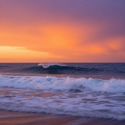 Elsa by Ocean at Sunset