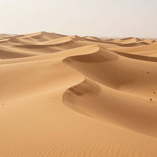 Photograph of a vast, golden desert landscape with flowing sand dunes under a bright, white sky. Ripples and shadows create a textured, serene
