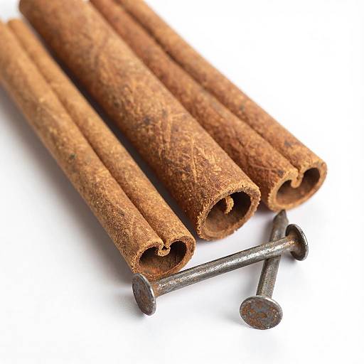 Close-Up Cinnamon Sticks and Nails
