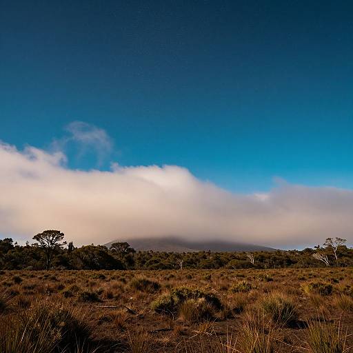 Photograph of a dry, grassy savanna under a vibrant blue sky with a thick, white cloud bank partially obscuring the distant horizon.