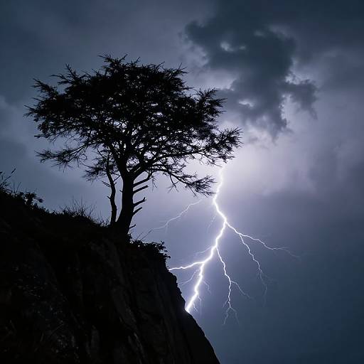 Silhouetted tree on rocky cliff during intense lightning strike at night, against a dark, stormy sky with dramatic blue and white lighting. Photograph