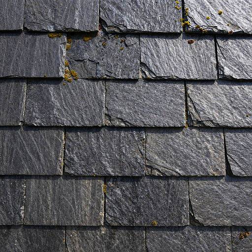 Seamless Slate Shingles Texture