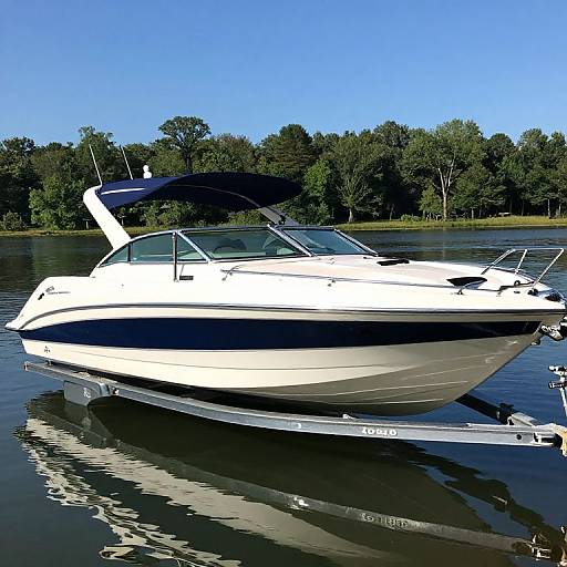Photograph of a white and blue motorboat with a black canopy, floating on calm water, reflecting trees and clear blue sky.
