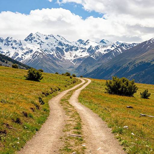 Photograph of a winding dirt path leading to a snowy mountain range under a bright blue sky with scattered clouds.