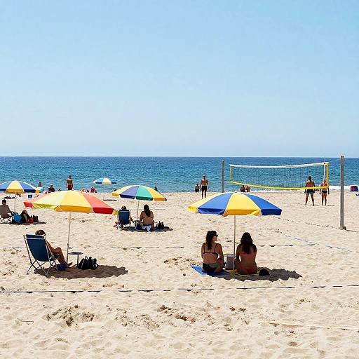 Lively Summer Beach Scene