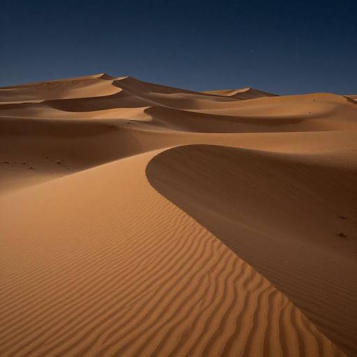 Photograph of a desert landscape with golden sand dunes, rippled textures, and a deep blue sky. Curved shadow in the foreground highlights the