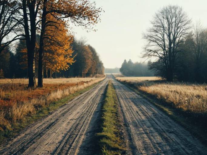 Charming Fall Morning Road Wallpaper