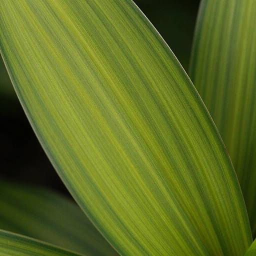 Ultra-Realistic Nature Photo Enhancement