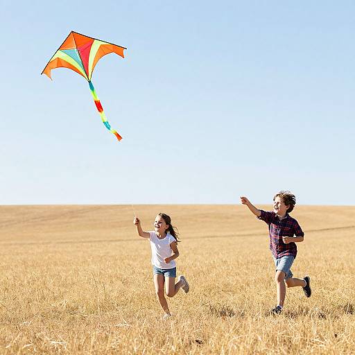 Children Flying Kites in Golden Field