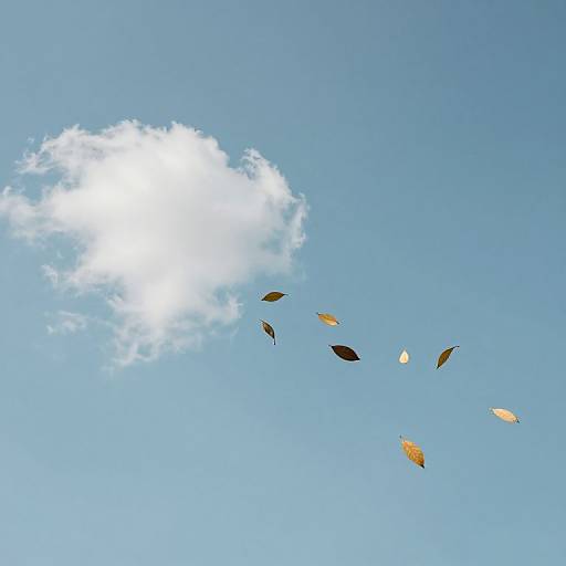 Leaves Foretelling Future Weather