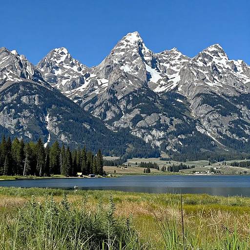 Photograph of a vibrant mountain landscape with snow-capped peaks, clear blue sky, dense pine forest, and a reflective lake in the foreground.