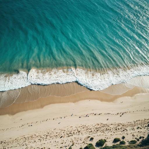 Serene Aerial Shoreline with Turquoise Waters